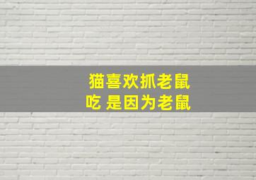 猫喜欢抓老鼠吃 是因为老鼠